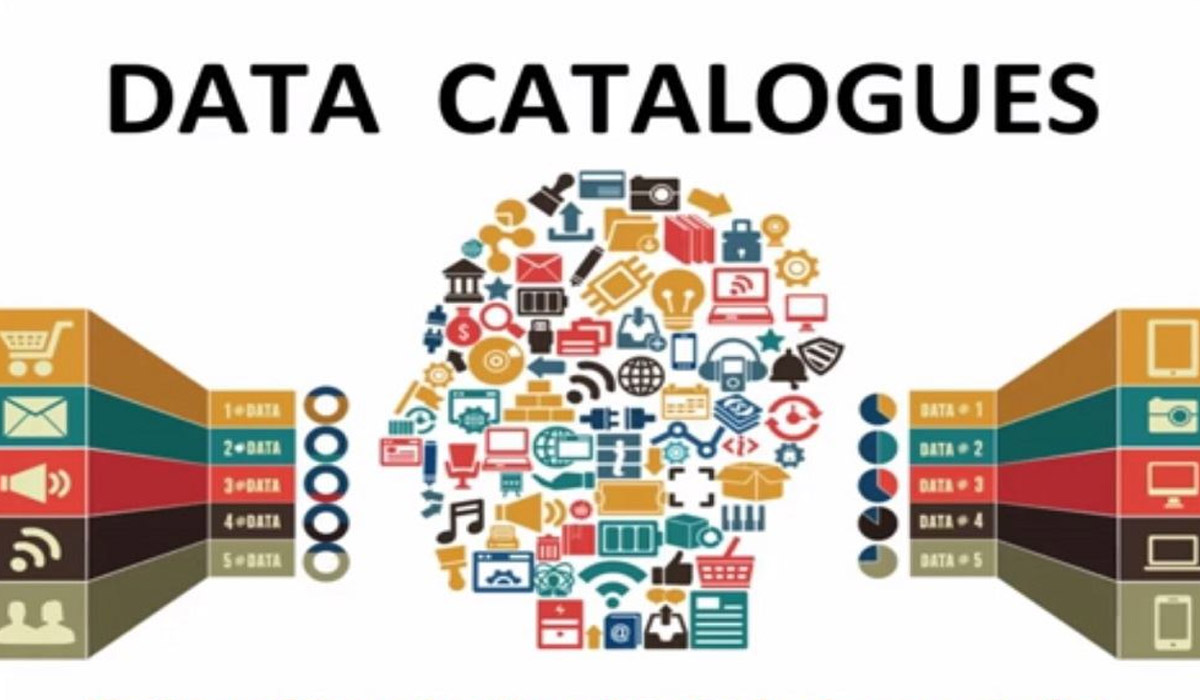 Data Assets